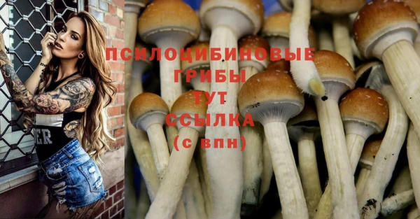 хмурый Армянск
