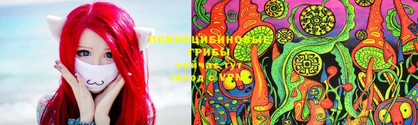 ГАЛЛЮЦИНОГЕННЫЕ ГРИБЫ Аркадак