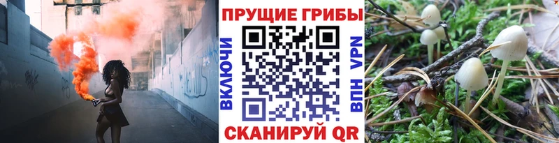 Псилоцибиновые грибы GOLDEN TEACHER  гидра ссылки  Малмыж  площадка телеграм  как найти  
